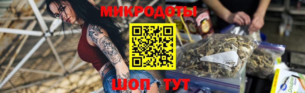 Псилоцибиновые грибы Psilocybe Вязники